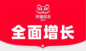 “双11”十五年，“买买买”买不动了？