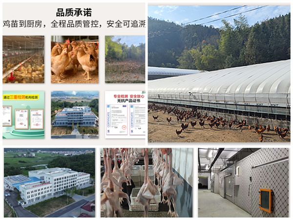 1751247712643859.jpg 微信图片_20250630093339.jpg