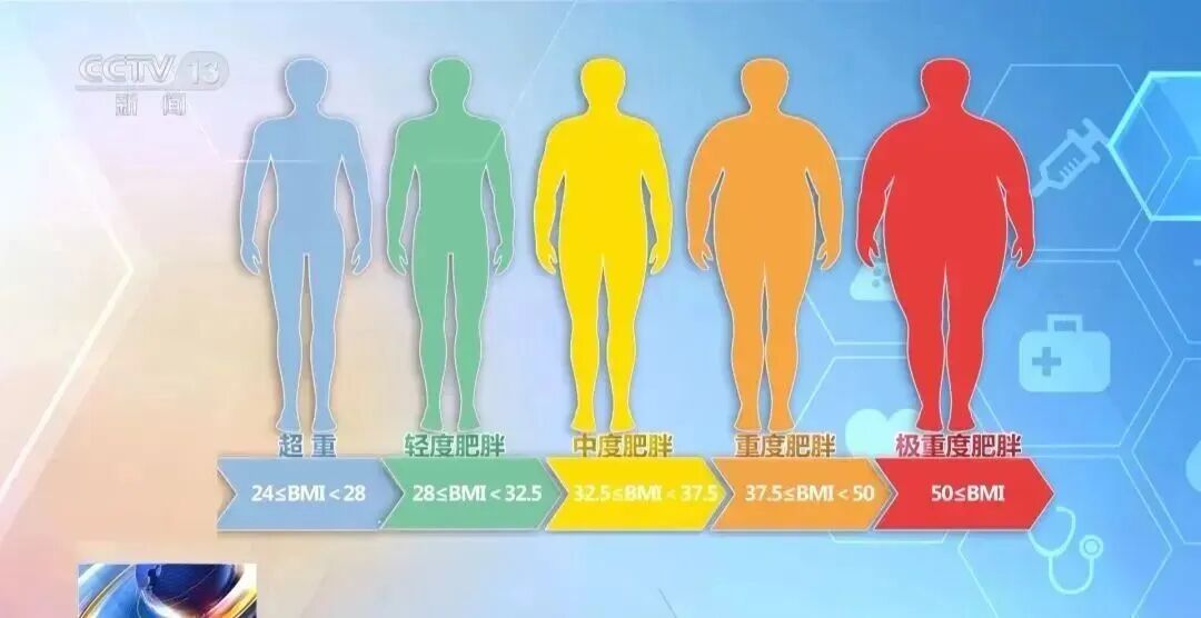 1773106412145539.jpg 1773106412145539.jpg